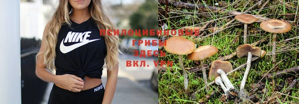 МДМА Абаза