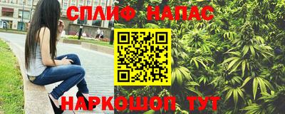 тгк Дубна