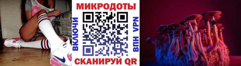 Псилоцибиновые грибы мухоморы Новокубанск