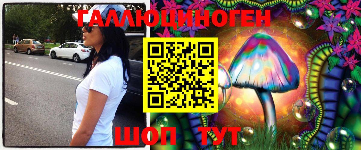 Псилоцибиновые грибы Psilocybine cubensis Новокубанск