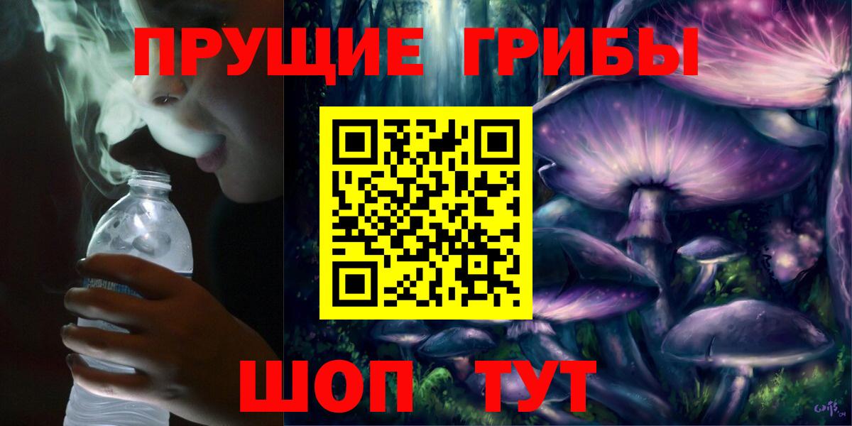 Псилоцибиновые грибы Psilocybe  Вход с VPN  Новокубанск 
